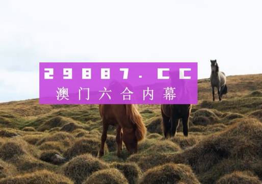 22324濠江論壇一肖一碼+錢包版94.16_反饋總結(jié)和評估